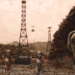 【完全暴露】映画「犬ヶ島」のあらすじネタバレと感想！ラストの結末は？